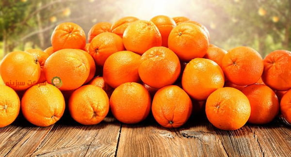 تصویر 3 از قیمت خرید پرتقال پیوندی دزفول با فروش عمده